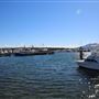 Bermagui
