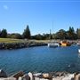 Bermagui