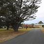 Tuross Head