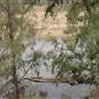 Whylandra Crossing, Dubbo