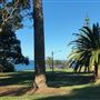 Cronulla