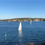 Cronulla
