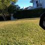 Cronulla