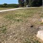 Kurnell Neighbourhood