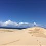 Stockton Dunes - Worimi National Park
