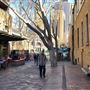 The Rocks