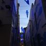 Kimber Lane