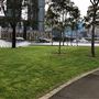 Ballaarat Park - Pyrmont
