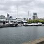 Metcalfe Park & Casino Wharf