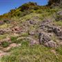 Mystics Beach (Minnamurra Beach) - Killalea State Park