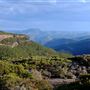 Kanangra Walls