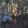 Clarrie Hall Dam