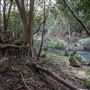 Clarrie Hall Dam