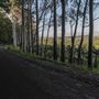 Coolamon Scenic Drive in the Byron Bay Hinterlands