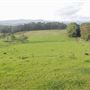 Coolamon Scenic Drive in the Byron Bay Hinterlands