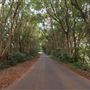 Coolamon Scenic Drive in the Byron Bay Hinterlands