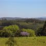 Coolamon Scenic Drive in the Byron Bay Hinterlands