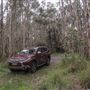 Cudgen Creek