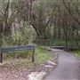 Minyon Falls - Nightcap National Park