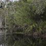 Tyagarah Nature Reserve