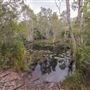Tyagarah Nature Reserve