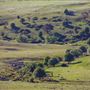 Taralga countryside