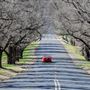 Armidale
