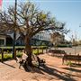 Quirindi