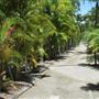 Nautilus Resort