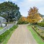 Mountain View Farm Tilba Tilba