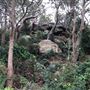 Nielsen Park