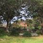 Nielsen Park