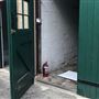 Strickland House Stables
