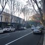 Woollahra