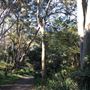 Trumper Park