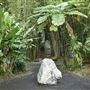 Crystal Castle - Bamboo Avenue