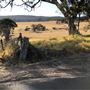 Pambula Area Farms