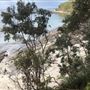 Huskisson