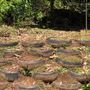 Otford Farm - Paintball Property