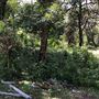 Otford Farm - Paintball Property
