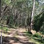 Otford Farm - Paintball Property