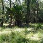 Otford Farm - Jungle Set Build Site