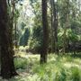Otford Farm - Jungle Set Build Site