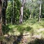 Otford Farm - Jungle Set Build Site