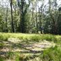 Otford Farm - Jungle Set Build Site