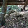 Otford Farm - Jungle Set Build Site