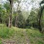 Otford Farm - Jungle Set Build Site
