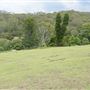 Otford Farm - The Pines Paddock with Jungle Gully