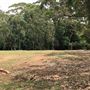 Otford Farm - The Pines Paddock with Jungle Gully