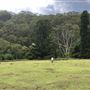 Otford Farm - The Pines Paddock with Jungle Gully